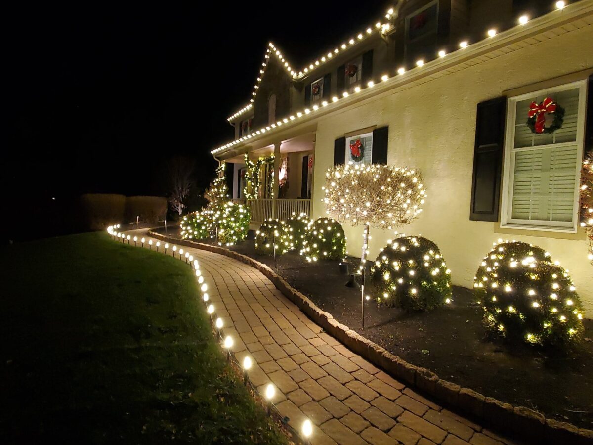 Pathway and landscape lighting along a brick walkway and shrubs at night