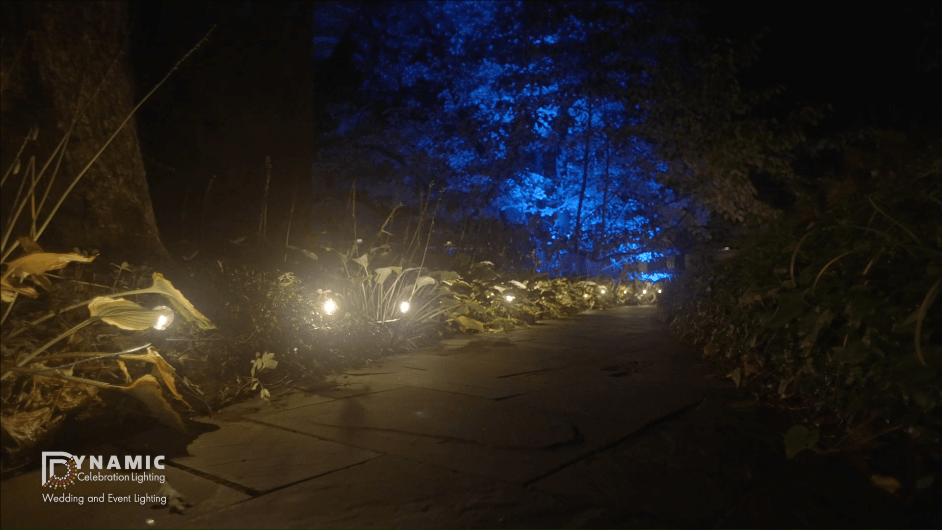 Pathway lights illuminating a walkway guiding guests to a wedding ceremony at night