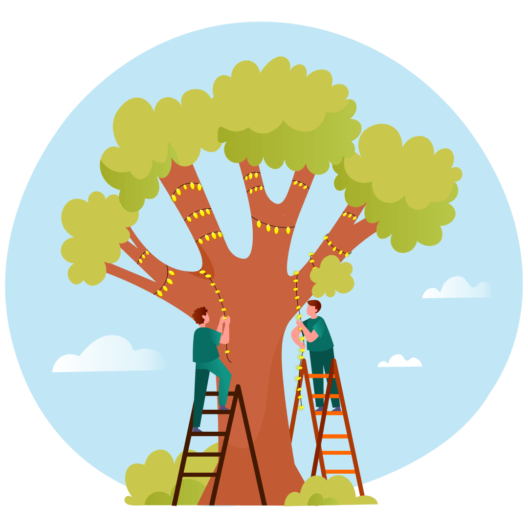Two people on ladders are stringing yellow lights around a large tree on a sunny day.